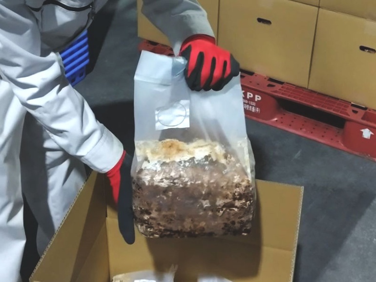 きのこ菌床生産に興味のある農家様・法人様へ関連画像